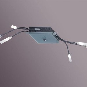 Плафониера Violet 06