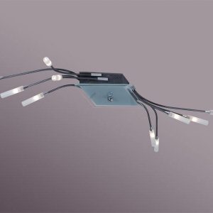 Плафониера Violet 10